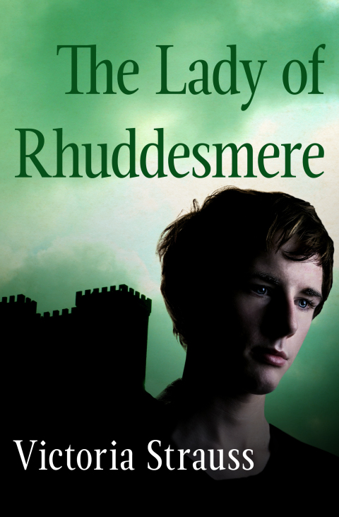 Cover image for book The Lady of Rhuddesmere