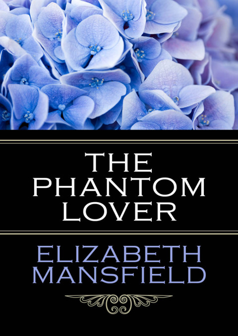 Cover image for book The Phantom Lover