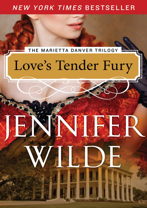 Cover image for book Love's Tender Fury