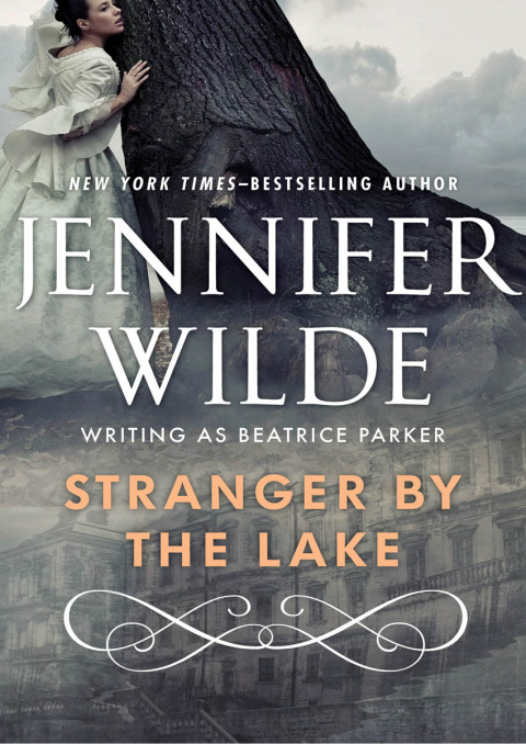 Cover image for book Stranger by the Lake