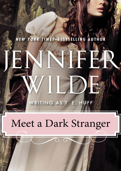 Cover image for book Meet a Dark Stranger