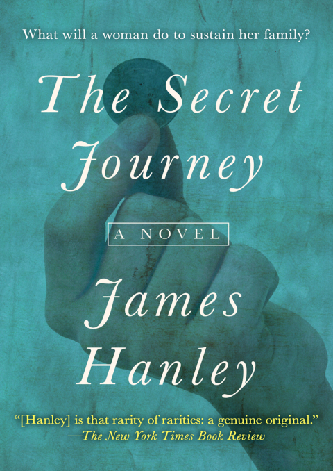 Cover image for book The Secret Journey