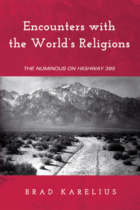 Cover image for book Encounters with the World’s Religions