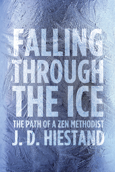 Cover image for book Falling Through the Ice