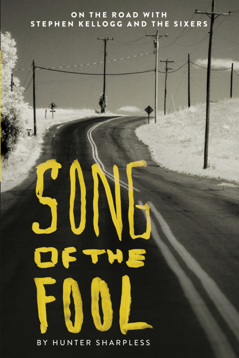 Cover image for book Song of the Fool