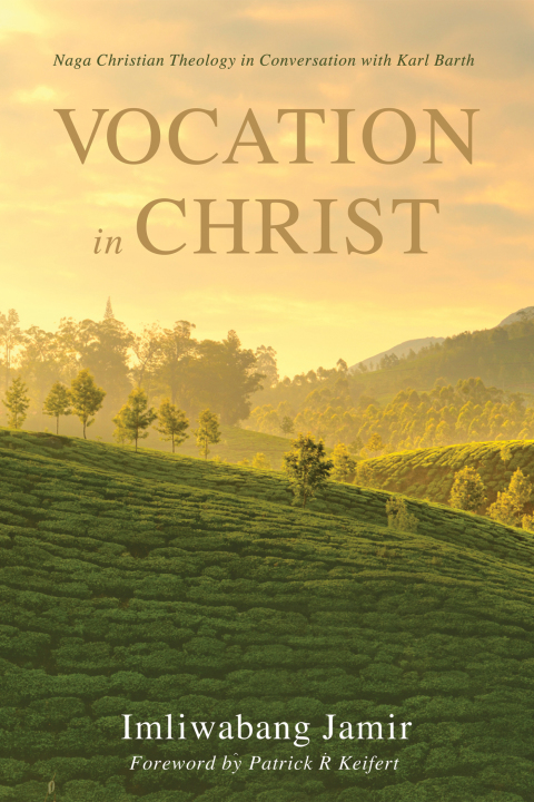 Cover image for book Vocation in Christ
