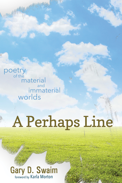Cover image for book A Perhaps Line