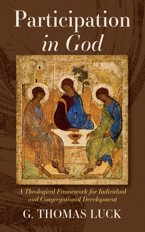 Cover image for book Participation in God