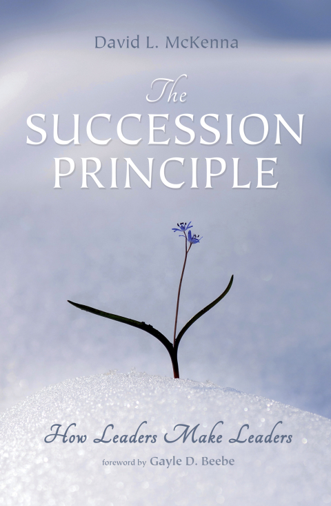 Cover image for book The Succession Principle