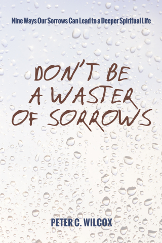 Don’t Be a Waster of Sorrows