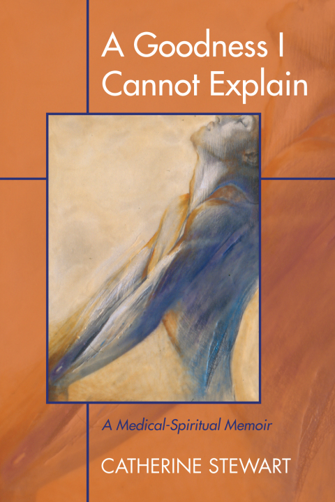 Cover image for book A Goodness I Cannot Explain