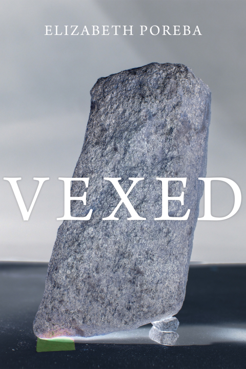 Cover image for book Vexed