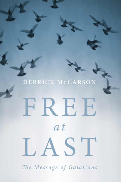 Cover image for book Free at Last