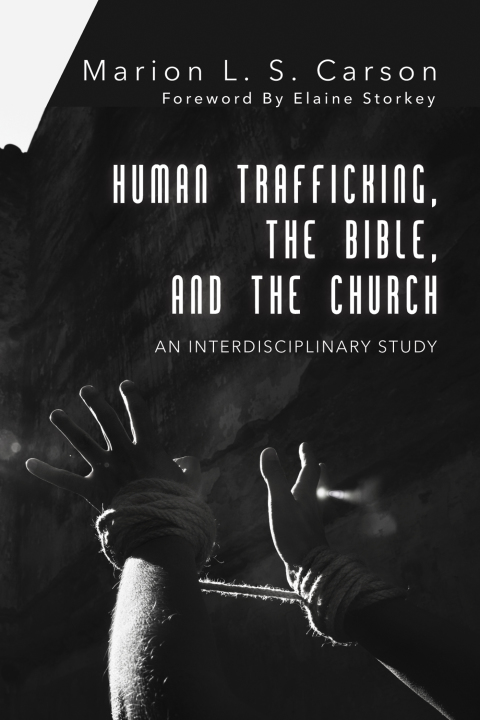 Cover image for book Human Trafficking, the Bible, and the Church