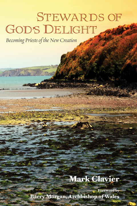 Cover image for book Stewards of God’s Delight