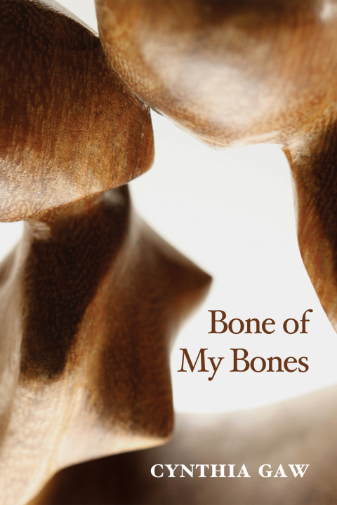Cover image for book Bone of My Bones