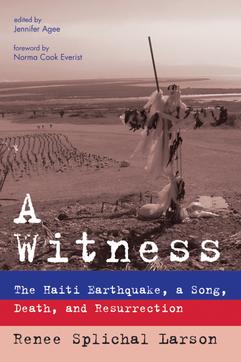 Cover image for book A Witness