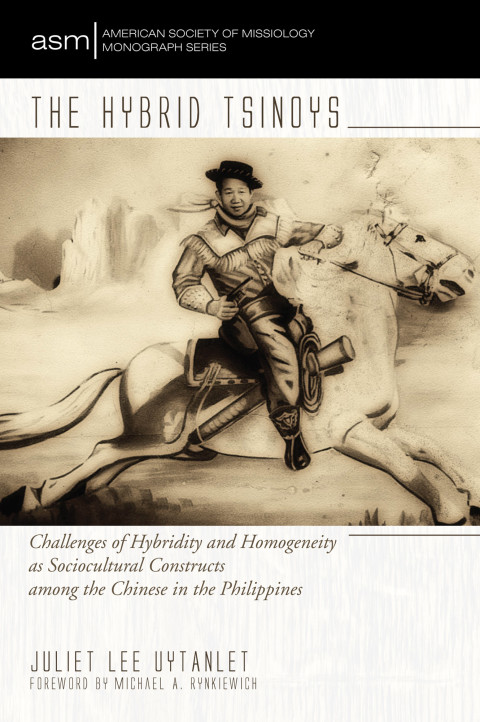 Cover image for book The Hybrid Tsinoys