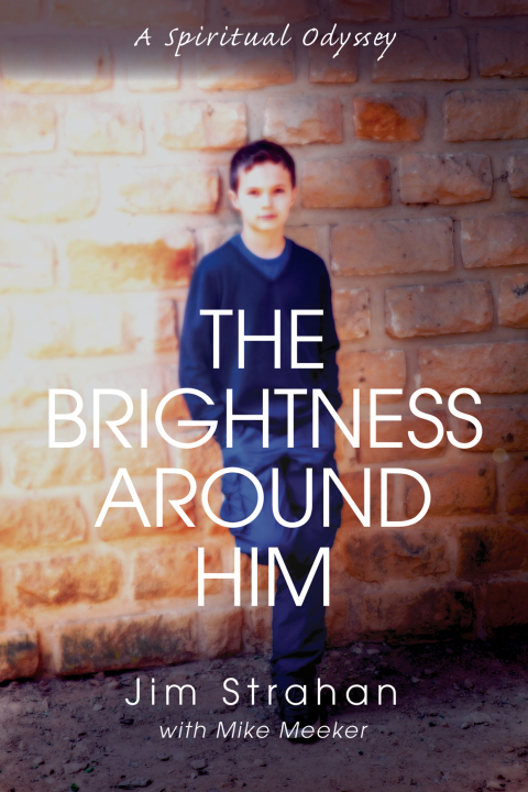 Cover image for book The Brightness Around Him