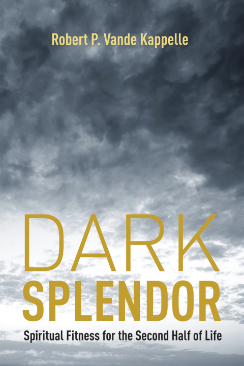 Cover image for book Dark Splendor