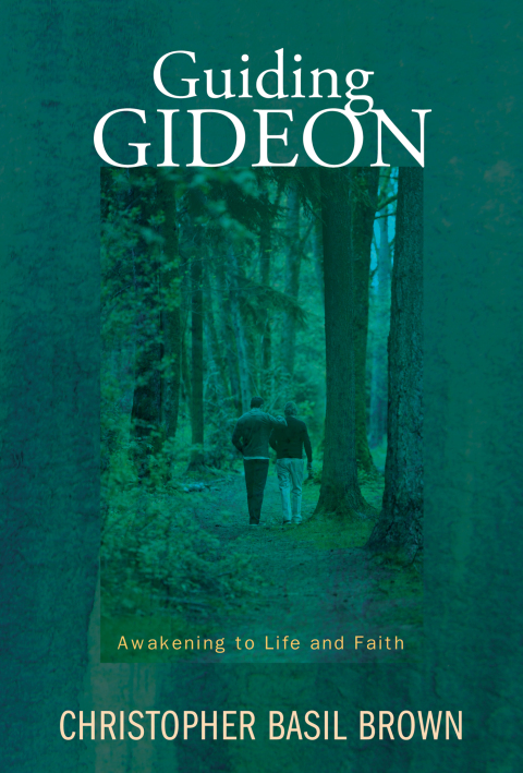 Cover image for book Guiding Gideon