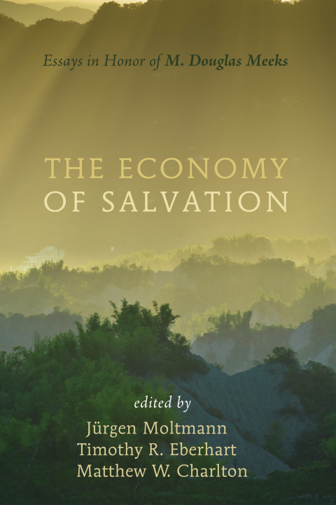 Cover image for book The Economy of Salvation