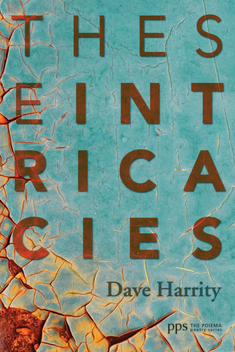Cover image for book These Intricacies