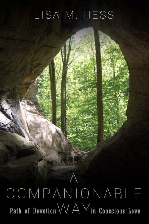 Cover image for book A Companionable Way