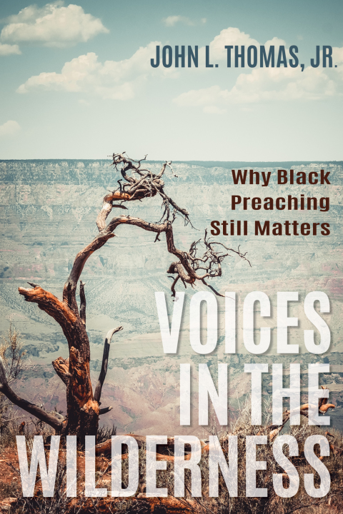 Cover image for book Voices in the Wilderness