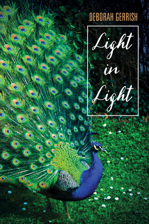 Cover image for book Light in Light