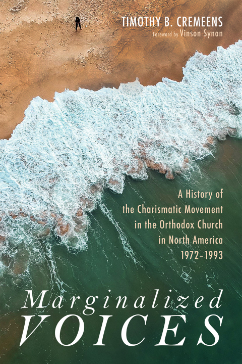 Cover image for book Marginalized Voices