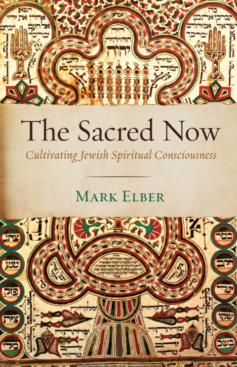 Cover image for book The Sacred Now