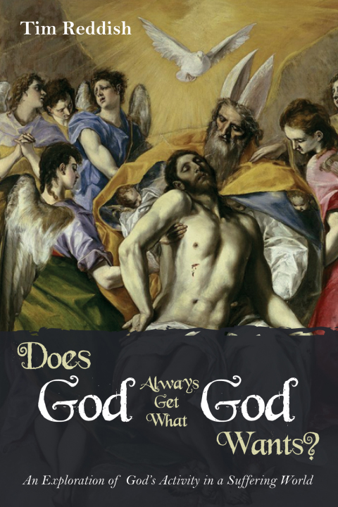 Cover image for book Does God Always Get What God Wants?