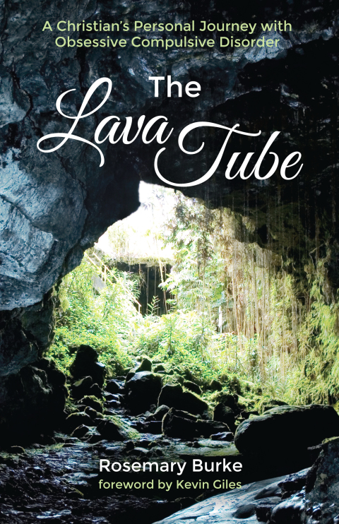 Cover image for book The Lava Tube