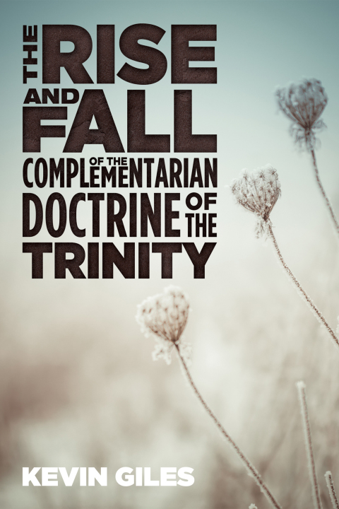 Cover image for book The Rise and Fall of the Complementarian Doctrine of the Trinity