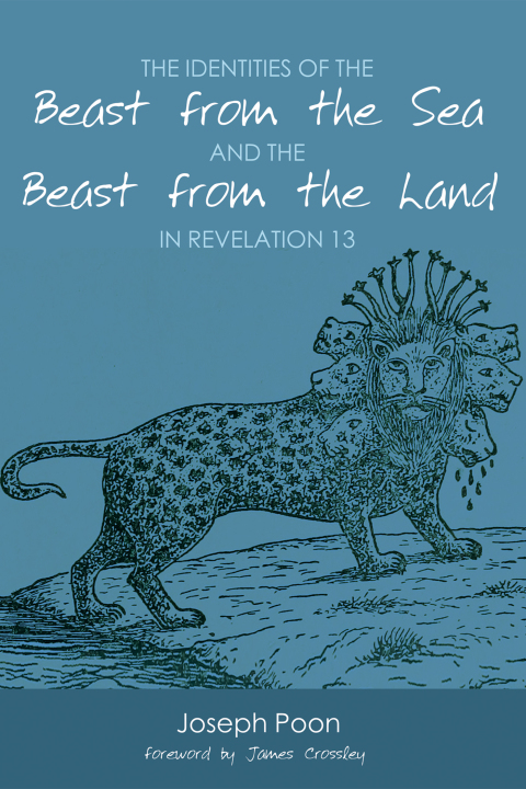 Cover image for book The Identities of the Beast from the Sea and the Beast from the Land in Revelation 13