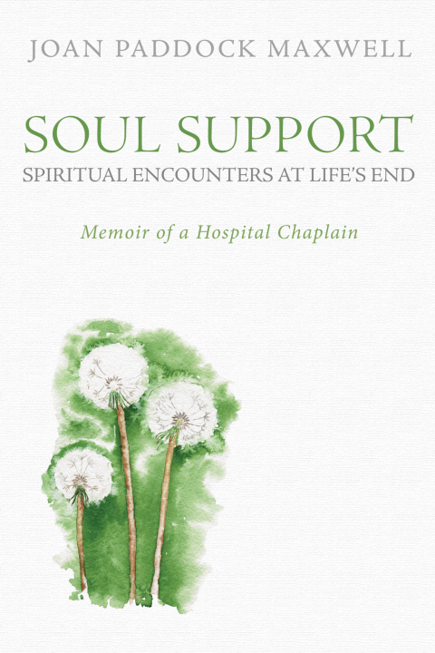 Cover image for book Soul Support: Spiritual Encounters at Life’s End