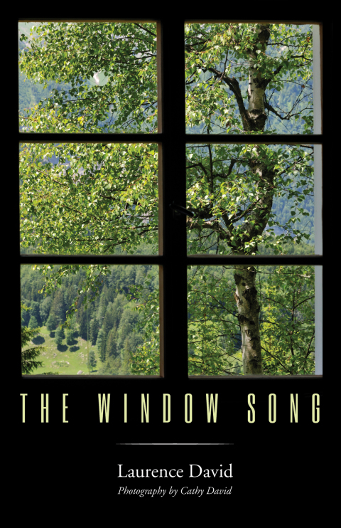 Cover image for book The Window Song