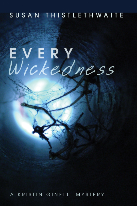 Cover image for book Every Wickedness