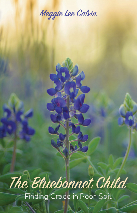 Cover image for book The Bluebonnet Child