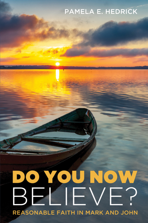 Cover image for book Do You Now Believe?