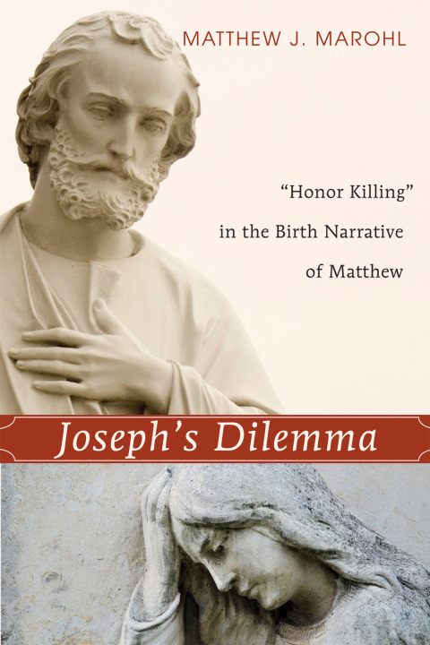 Cover image for book Joseph's Dilemma