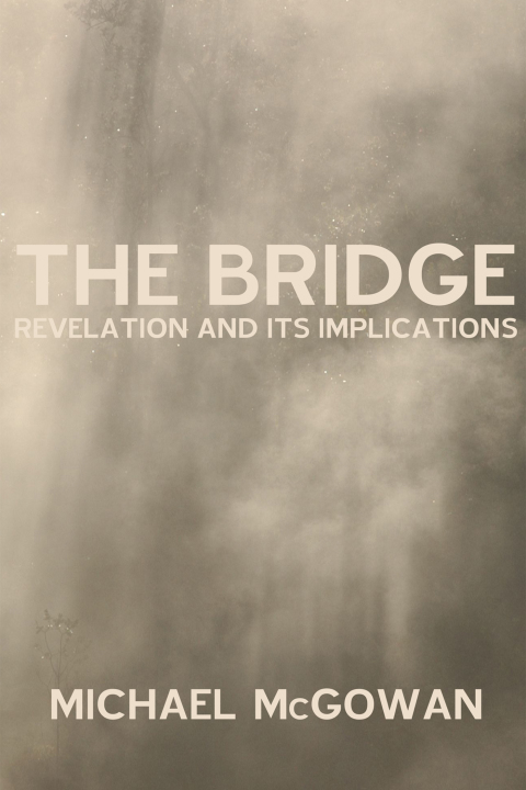 Cover image for book The Bridge