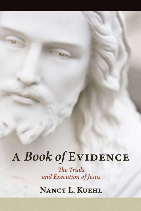 Cover image for book A Book of Evidence
