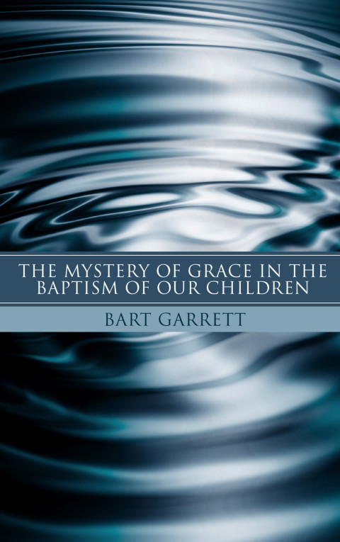 Cover image for book The Mystery of Grace in the Baptism of Our Children (Stapled Booklet)