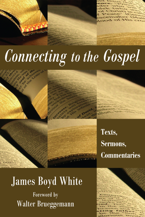 Cover image for book Connecting to the Gospel