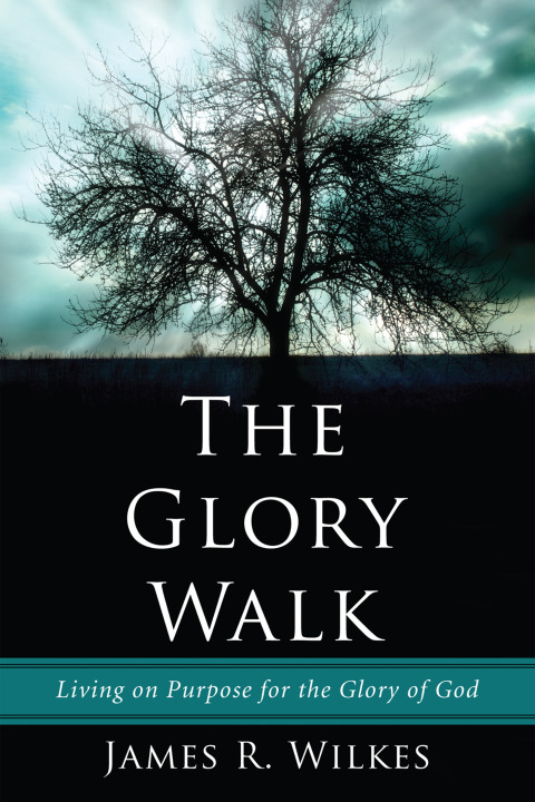 Cover image for book The Glory Walk