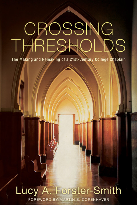 Cover image for book Crossing Thresholds