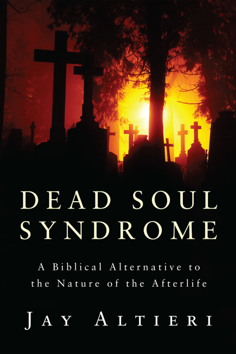 Cover image for book Dead Soul Syndrome