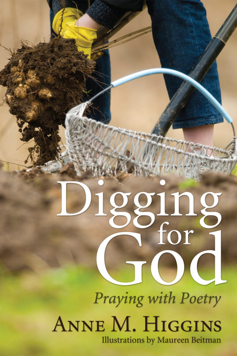 Cover image for book Digging for God